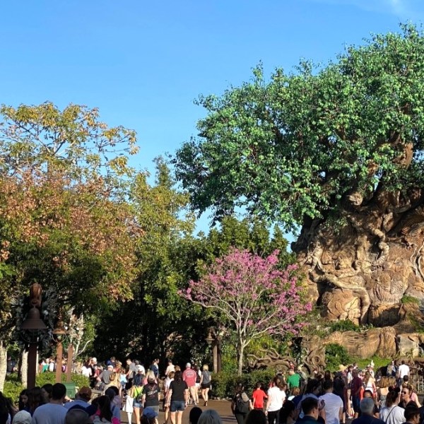 Stakeholders and research&nbsp;impact